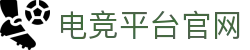 IM（股份有限公司）电竞-电子竞技平台